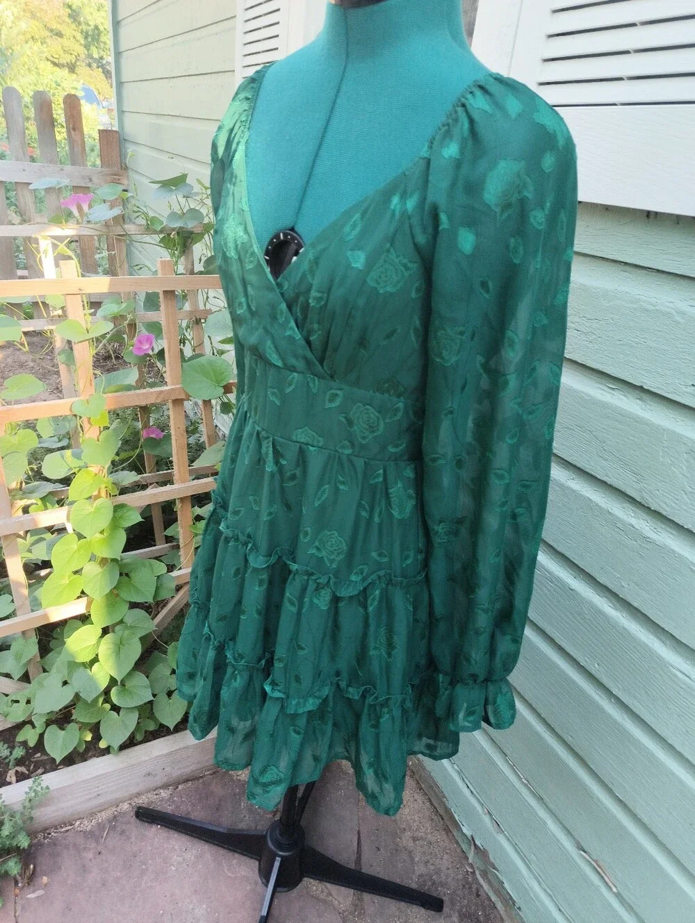 Alter'd State Forest Long-Sleeve Tiered Dress - Picture 2 of 6